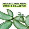 SANTE Naturkosmetik Serum with 3D Hyaluron, Algae Extract & Organic