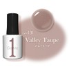 Cosme De Beaute Germy One 131 Barre Taupe Gel Nail