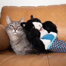 Cat Puppet Wrestler, Cat Ringer Hand Puppet, Interactive Cat Toy, Funny Cat Doll, Wrestling Toy, Gifts for Cat Lovers, Durable Plush Stuffed Animal Toy