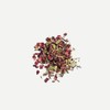 Love Tea Pitta Loose Leaf Tea, 60g