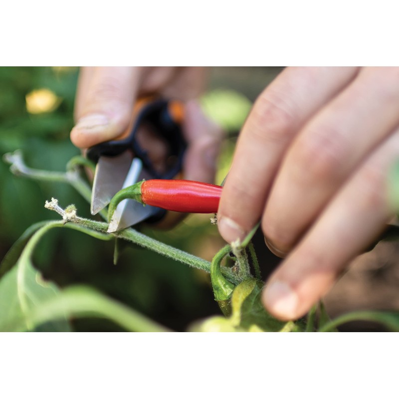 Fiskars Herb Scissors Length 5.1" Stainless Steel Blades/Plastic Handles Black/Orange