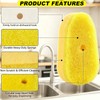 BoAn 12 Pack Dish Wand Sponge Refills Compatible with Scrub
