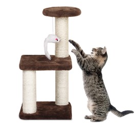 Small & Cozy Cat Tree - Sisal Scratching Post & Interactive Toys, Easy Assembly for Small Cats