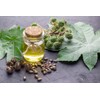 Aceite De Ricino Puro 2 Lts Usp Prensado En Frio,
