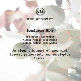 Muse Apothecary Yoga Ritual - Aromatic and Refreshing Yoga Mat Cleaner, 8 oz, Infused with Natural Essential Oils - Eucalyptus Mint