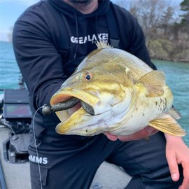 Great Lakes Finesse Snack Craw - Green Pumpkin Orange - 2.1"