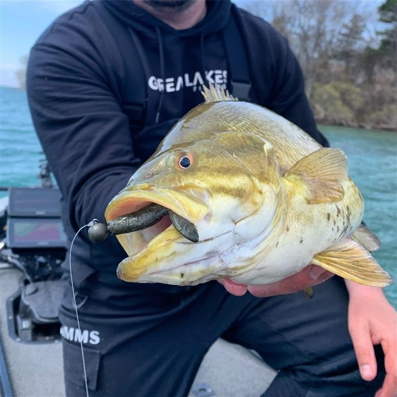 Great Lakes Finesse Snack Craw - Green Pumpkin Orange -