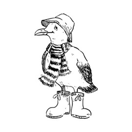 Newstamps Hein Rubber Stamp for Cards and Gifts, Wooden Stamp for Animals, Animal Stamps, Seagull, Scrapbook, Textile Stamp, Decoration, Children