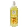 Gel Conductor con Vitamina E para Aparatología Profesional, 1 L