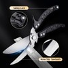 DRAGON RIOT Heavy Duty Poultry Shears - A Must Have