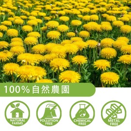 Dandelion Tea, 0.07 oz (2 g) x 60 Packets, Dandelion Root Only, Caffeine Free, Additive-Free