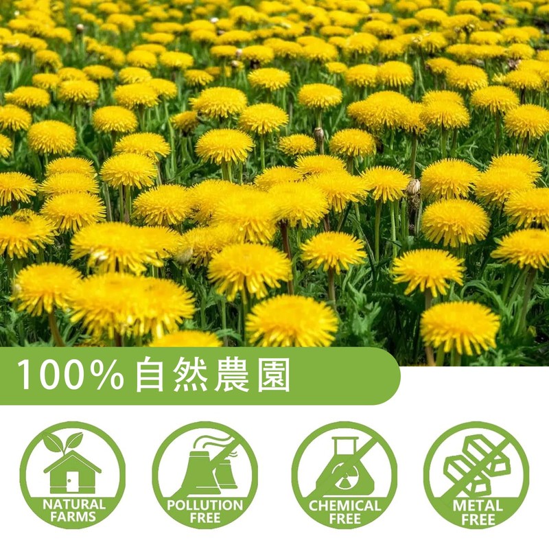 Dandelion Tea, 0.07 oz (2 g) x 60 Packets, Dandelion