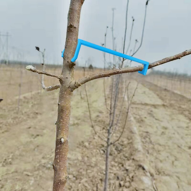 DVECUE Branch Limb Spreaders for Fruit Trees Apple Tree Limb
