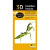 Fridolin 3D Paper Model Praying Mantis