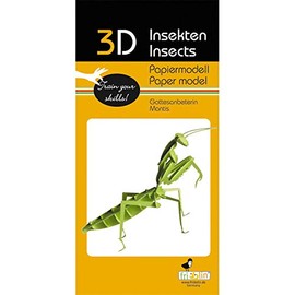 Fridolin 3D Paper Model Praying Mantis