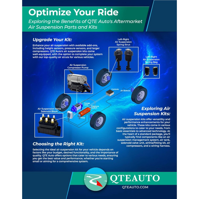 PM Auto Pair of 2 Rear Air Spring to Coil