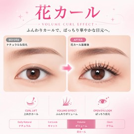 LashCharm Flower Curls Glueless False Eyelashes Bulk Eyelashes Partial False Eyelashes Volume Curl Transparent Terrier Korean Style Natural 3 Bundles Lightweight Easy to Wear Reusable for Beginners