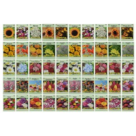 50 Slightly Assorted Flower Seeds! – Great for Bees, Birds, and Butterflies! – Includes 10+ Varieties of USA Grown & Non-GMO Seeds! – May Include Forget-Me-Nots, Marigolds, Wildflowers, and More