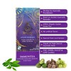 Térapy Ceylon ImmunTea Ayurvedic Tea | All Natural Herbal Ingredients