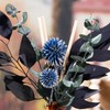 Eucalyptus Floral Reed Fragrance Diffuser (Teal Blue Eucalyptus)
