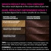 Garnier Olia Permanent Hair Dye, Ammonia-Free Hair Color, 5.12 Iridescent