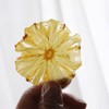TXDYNLLK Dried Pineapple Slices - Dehydrated Pineapple for Cocktail Garnish,