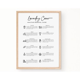 qanosem Stain Removal Wall Art Modern Laundry Carewall Clothing Care Rules Simple Minimalistic Kitchen Decor Food Print