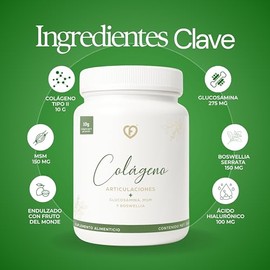 CARO FIT | Colágeno Hidrolizado Tipo 2 para Articulaciones y Cartílago en Polvo | Con Glucosamina, MSM, Boswellia y Ácido Hialurónico | 10 g de Coláge