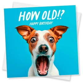 Punkcards - Birthday Card Dog Lovers, Jack Russell Birthday Card, Birthday Cards for Men (Cyan)