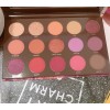 Eyeshadow HIPDOT Zion Eye Shadow Palette 15 Shades BNIB Boxycharm