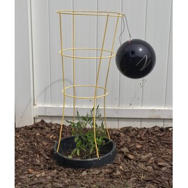 VegSTABLE- 6 Pack (Veggies Grow Up, Cages Won't Fall Over)