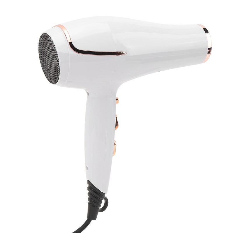 Electric Hair Dryer Adjust Temperature Wind Speed Blow Dryer Hair