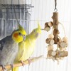 Bird Chewing Toys Hanging Natural Wood Parrot Swing Chewing Toys