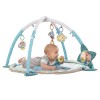 Infantino 4-in-1 Baby Activity Gym and Ball Pit Sloth Jumbo