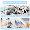 Due Felice Cat Surgery Recovery Suit Small Dog Surgical Recovery
