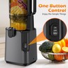 Juicer Machines with 5.8" Large Feed Chute, Cold Press Juicer