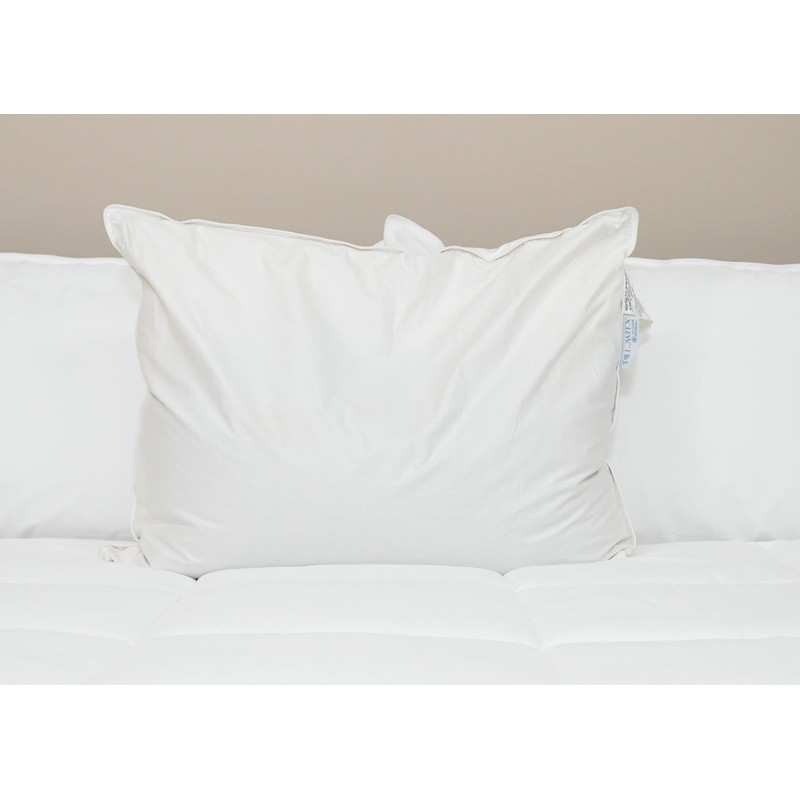 Pillowtex Kyoto Pillow - Half Buckwheat & Half Polyester -