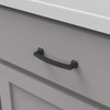 Hickory Hardware 1 Pack Solid Core Kitchen Cabinet Pulls, Luxury