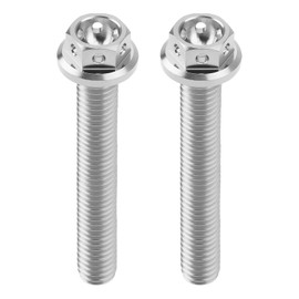 ECSiNG 2 Pieces M6 x 40 mm Hex Screws with Flange Titanium Hex Full Thread Drilled Screws for Sports Bikes and Karts Safety Wire Silver