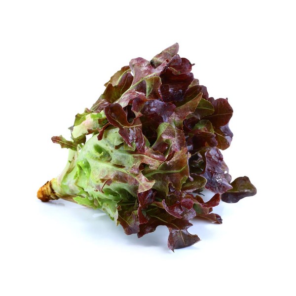 Red Romaine Lettuce Seeds (Super Red), 1000 Heirloom Seeds Per