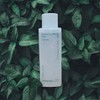 Innisfree Green Tea Skin for Men 150mL / 그린티 스킨 포맨 150mL