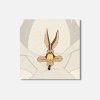 Unbranded Looney Tunes Cartoon Wile E. Coyote 4'' X 4''