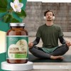 Bacopa, 120 Cápsulas | Adaptógeno 100% Natural | Cápsulas Veganas
