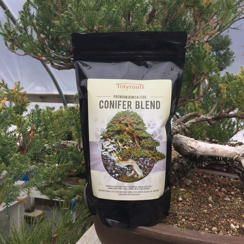 Conifer Bonsai Soil by Tinyroots – 100% Formulated and Pre-Mixed