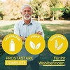 Wellpursan Prostastark Complete – 3 x 90 Stück Prostata Kapseln