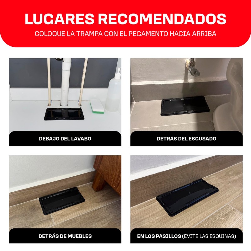 KILLMAX Trampas de pegamento para Ratas y Ratones, No Tóxica,