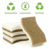 Kandid Eco-Friendly Biodegradable Sponge Set Of 12 Sponges | Coconut