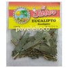 el sabor tea bag Eucalyptus leaves te de hojas de