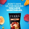 Terra Original Sea Salt Real Vegetable Chips 1.5 oz (Pack
