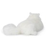 WWF Arctic Fox Soft Toy - 25cm